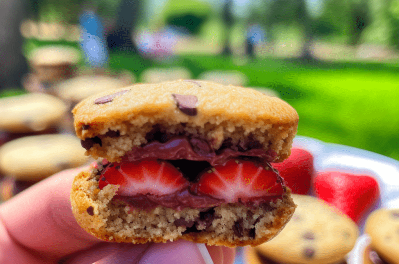 Strawberry and Chocolate Chip Cookie Sandwiches